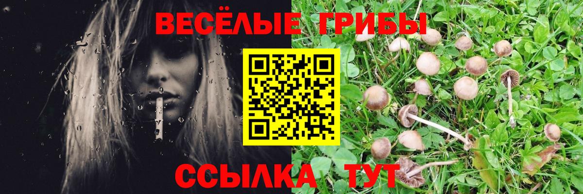 как найти   Вход с VPN  Новороссийск  Псилоцибиновые грибы Magic Shrooms 